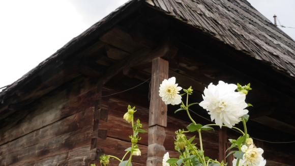 Karpatenbild 10